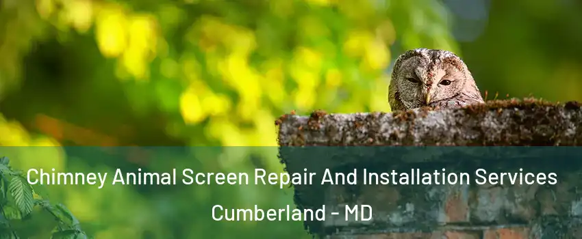  Chimney Animal Screen Repair And Installation Services Cumberland - MD