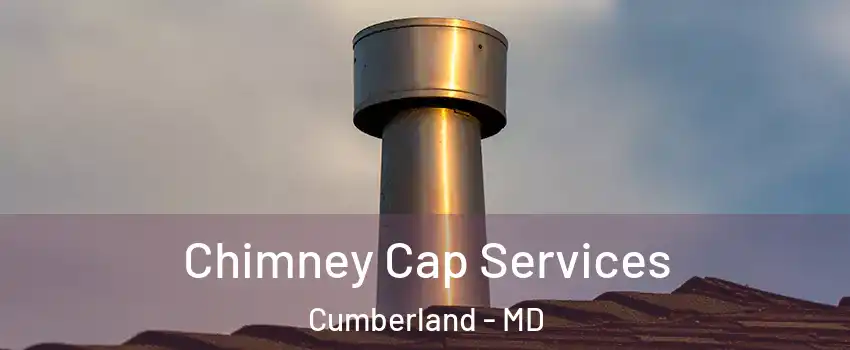  Chimney Cap Services Cumberland - MD
