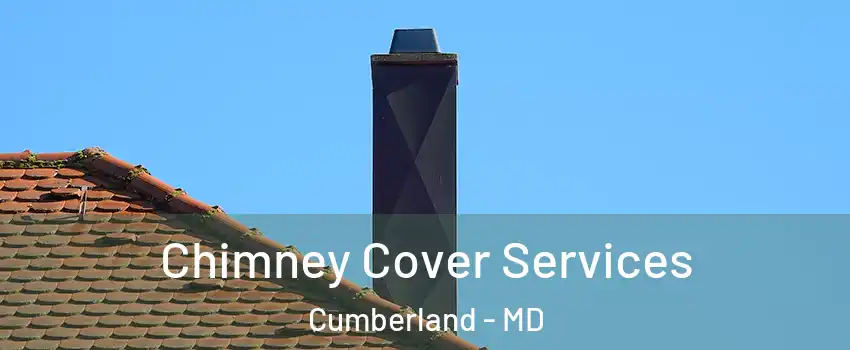  Chimney Cover Services Cumberland - MD