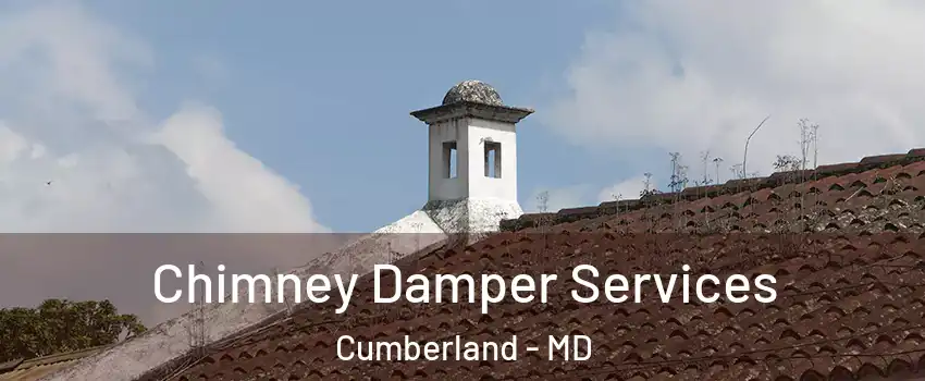  Chimney Damper Services Cumberland - MD