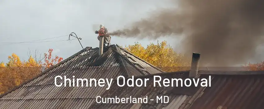 Chimney Odor Removal Cumberland - MD