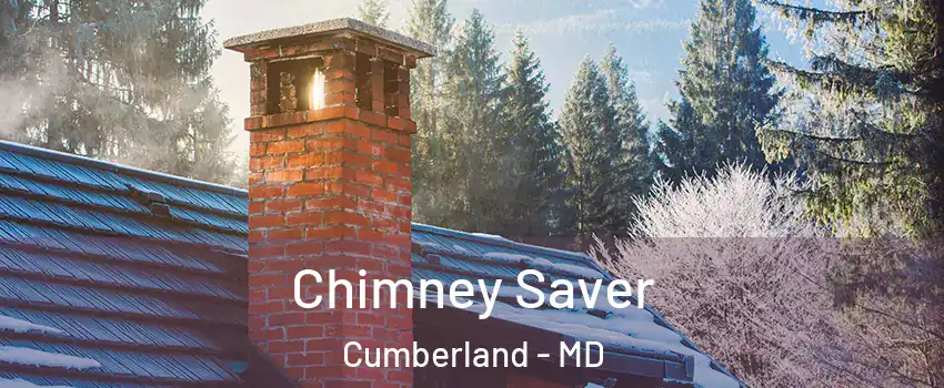  Chimney Saver Cumberland - MD