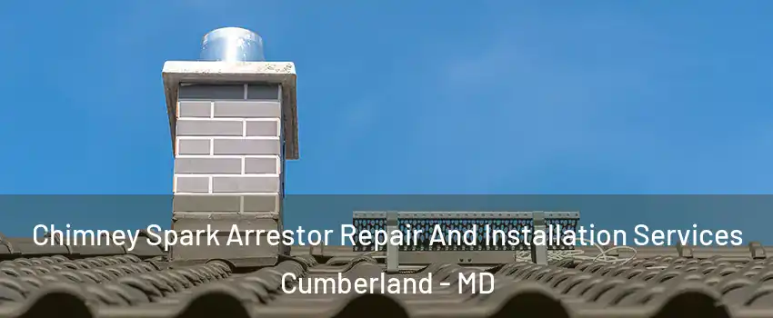 Chimney Spark Arrestor Repair And Installation Services Cumberland - MD