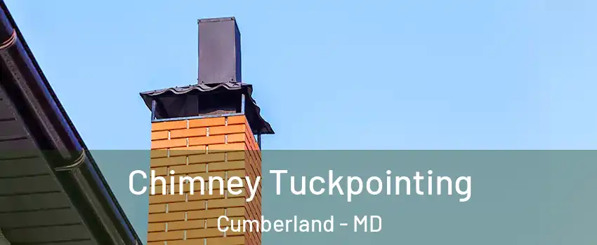  Chimney Tuckpointing Cumberland - MD
