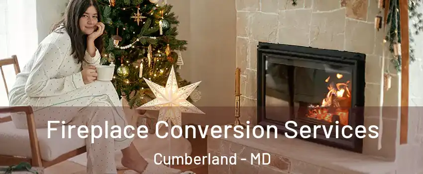  Fireplace Conversion Services Cumberland - MD