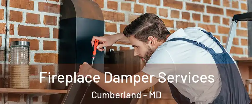  Fireplace Damper Services Cumberland - MD