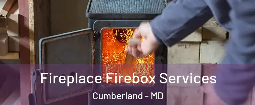  Fireplace Firebox Services Cumberland - MD