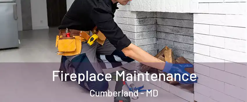  Fireplace Maintenance Cumberland - MD