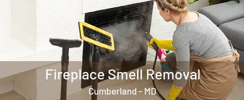 Fireplace Smell Removal Cumberland - MD