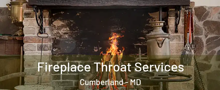  Fireplace Throat Services Cumberland - MD