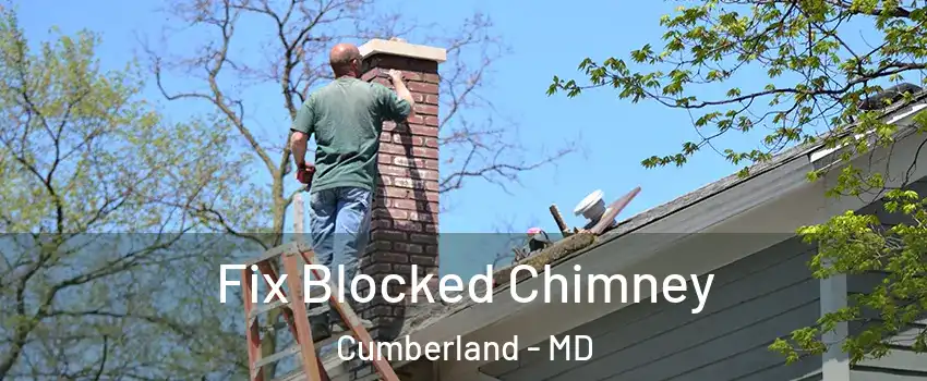  Fix Blocked Chimney Cumberland - MD