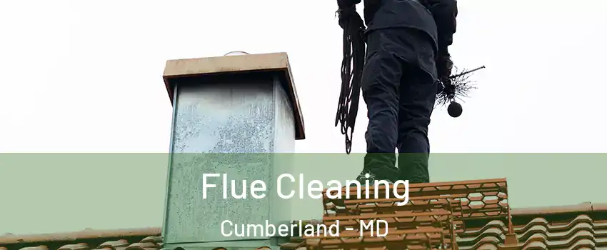  Flue Cleaning Cumberland - MD