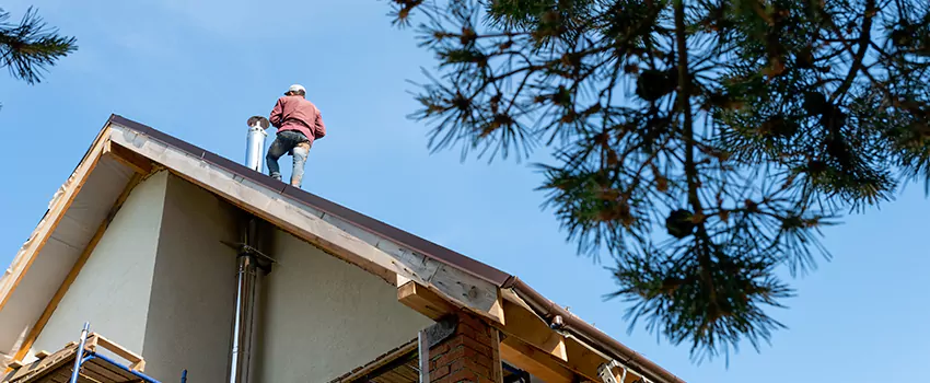 Birds Removal Contractors from Chimney in Cumberland, MD