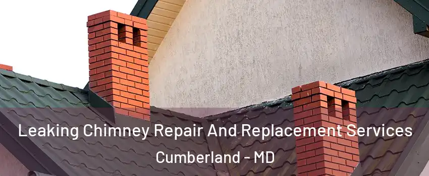  Leaking Chimney Repair And Replacement Services Cumberland - MD