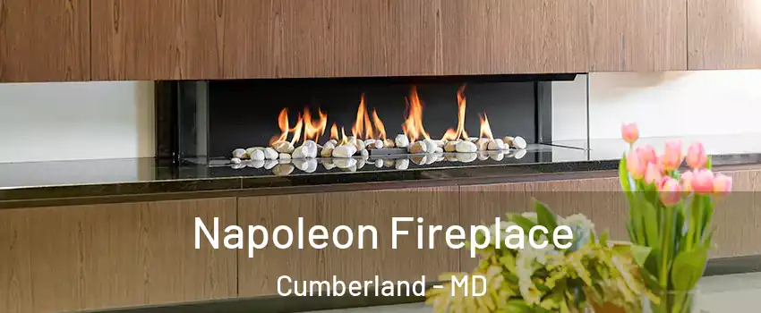  Napoleon Fireplace Cumberland - MD